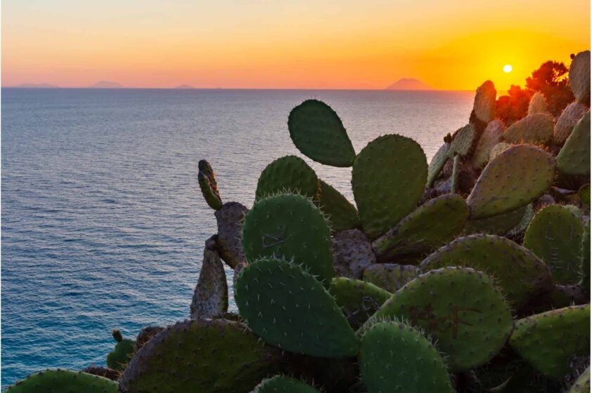 Vacanze in Calabria