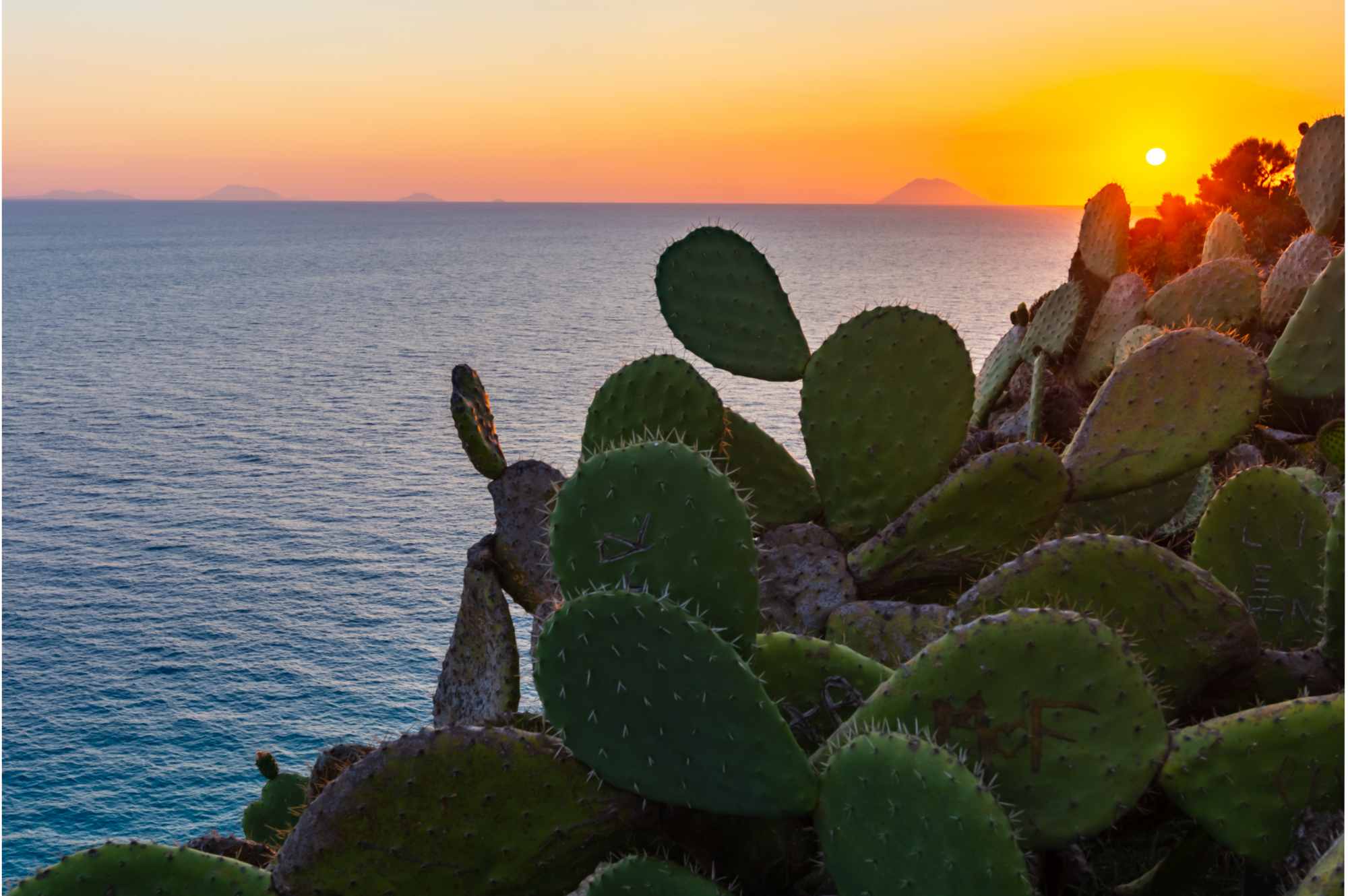 Vacanze in Calabria